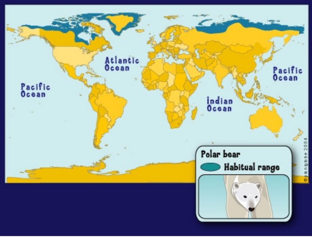 Most Polar Bears Live In Canada Where There Has Been No Net Warming 