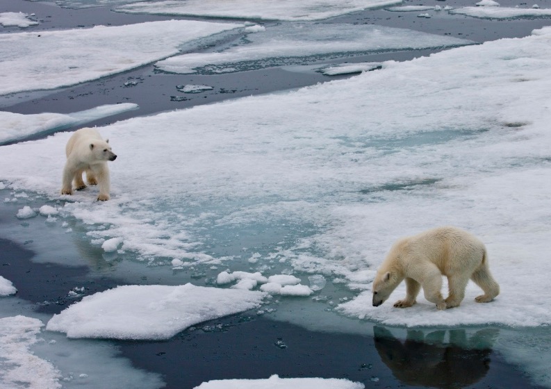 Arctic Open Water From Natural Causes