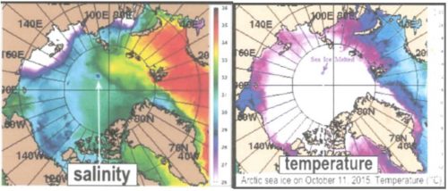 arctic ocean salinity