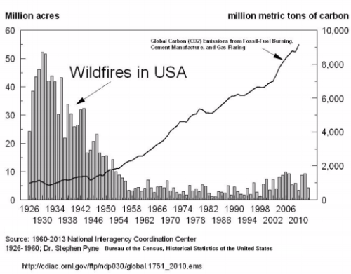 wildfires in the USA trend