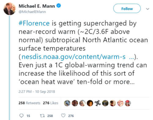 Mann tweet florence warm waters