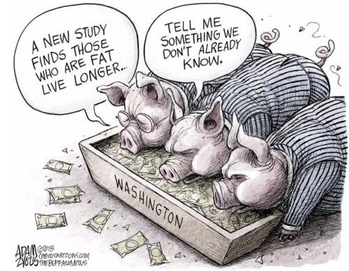 pigs trough political cartoon