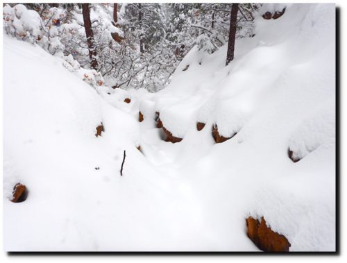los alamos snowstorm