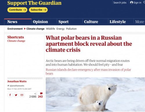 guardian polar bear invasion