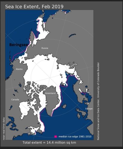 sea ice extent feb 2019