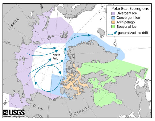 usgs polar bear eco-regions