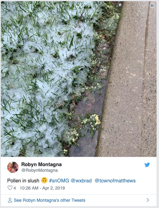 nc snow tweet 3