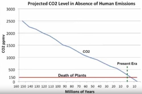 Projected CO2 Level in the Absence of Human Emissions