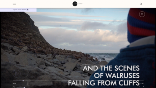 scenes of falling walruses