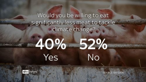 poll eating meat