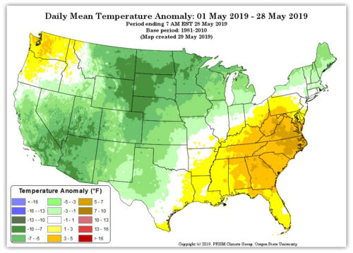 temp anomaly may 2019