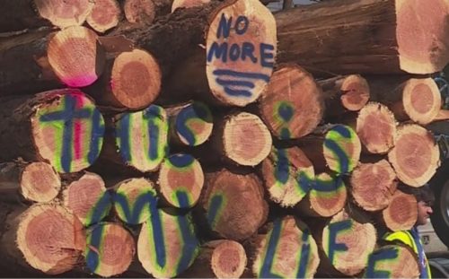 Loggers protest Oregon carbon tax bill