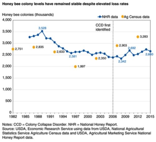 honeybee colonies chart