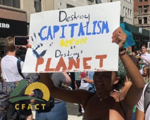 nyc climate strike destroy capitalism