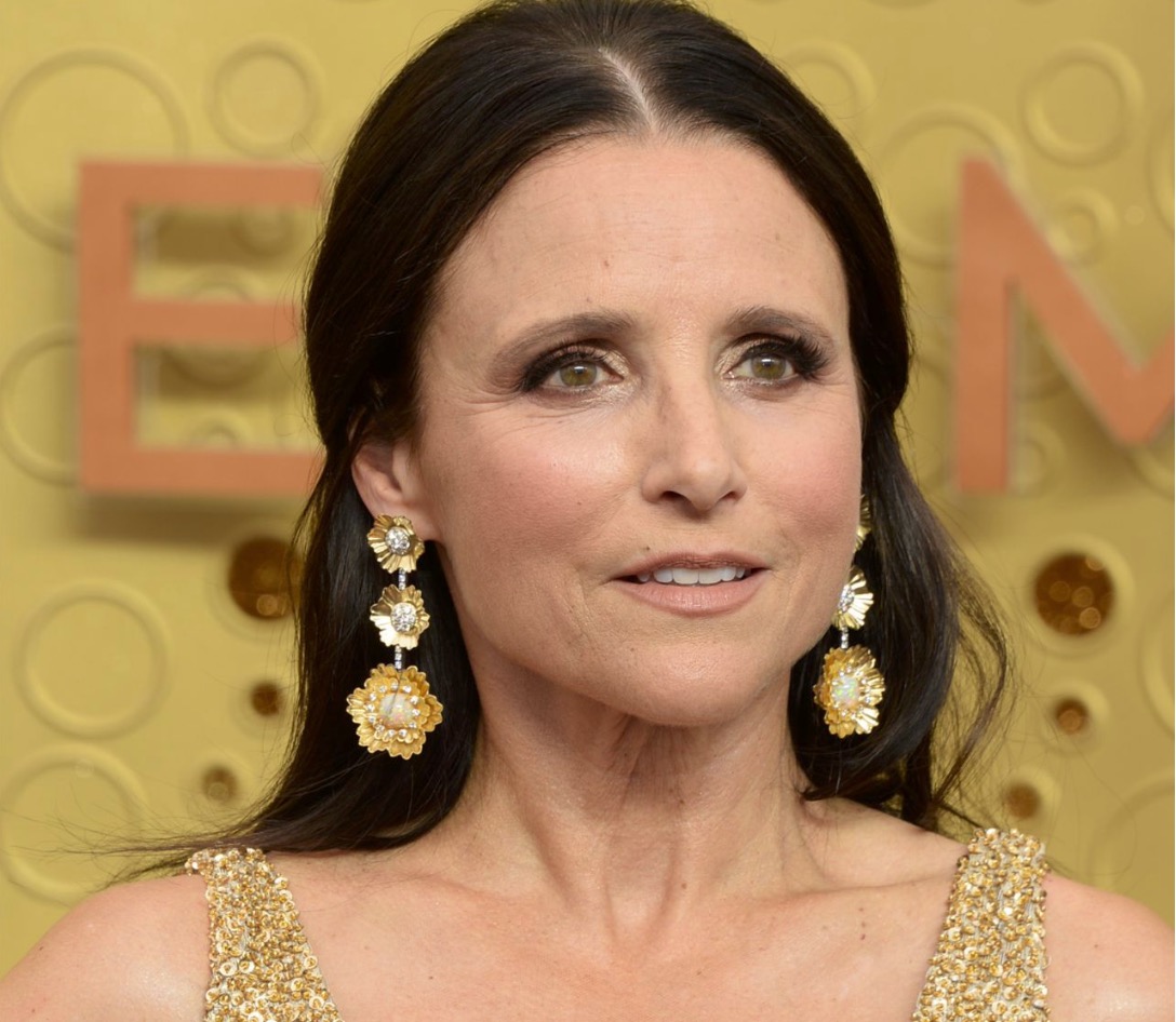 Veep actress Julia Louis Dreyfus is urging her fans to donate money to an