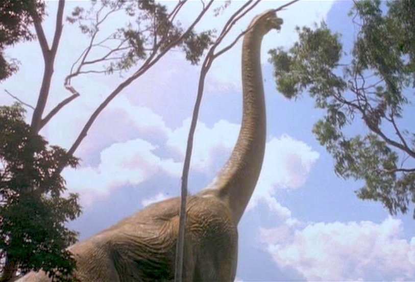 sauropod meaning