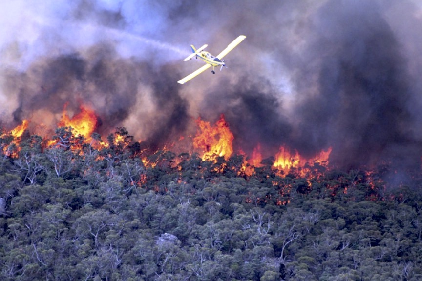 Australian Fires Caused By Humans, Not Climate Change