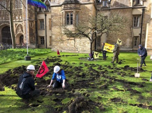 Extinction Rebellion trinity college lawn digging