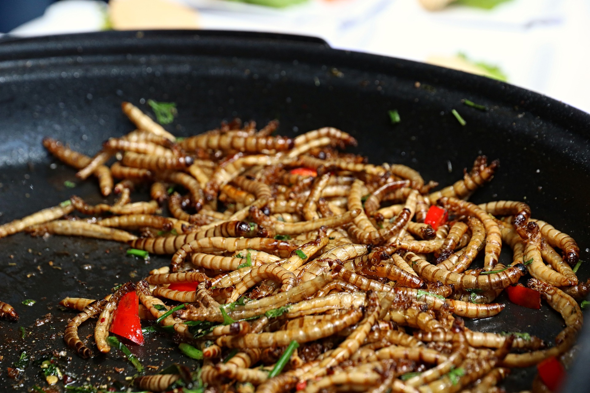 Питание насекомых. Жареные черви. Блюда из насекомых. Жареные червяки.