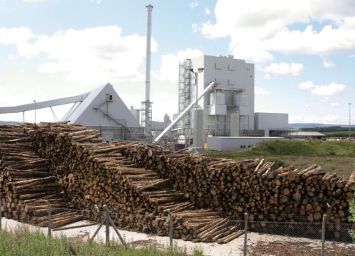 Wood-burning power plant