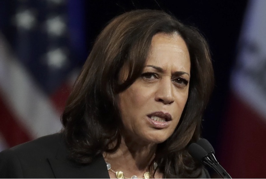 kamala harris speak | Climate Change Dispatch