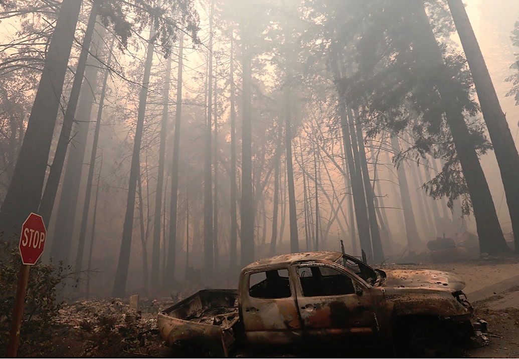 John Stossel Government Fueled Forest Fires Climate Change Dispatch