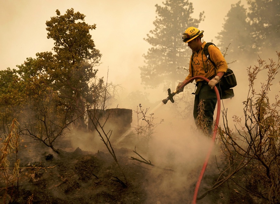 How Environmentalists Destroyed California’s Forests