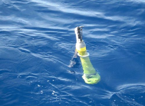 argo buoy