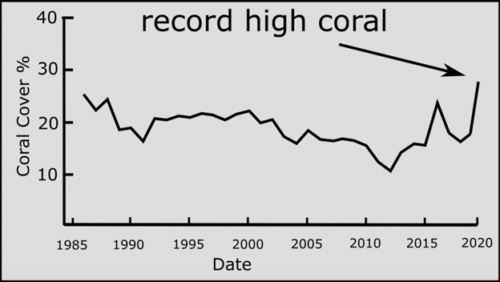 coral