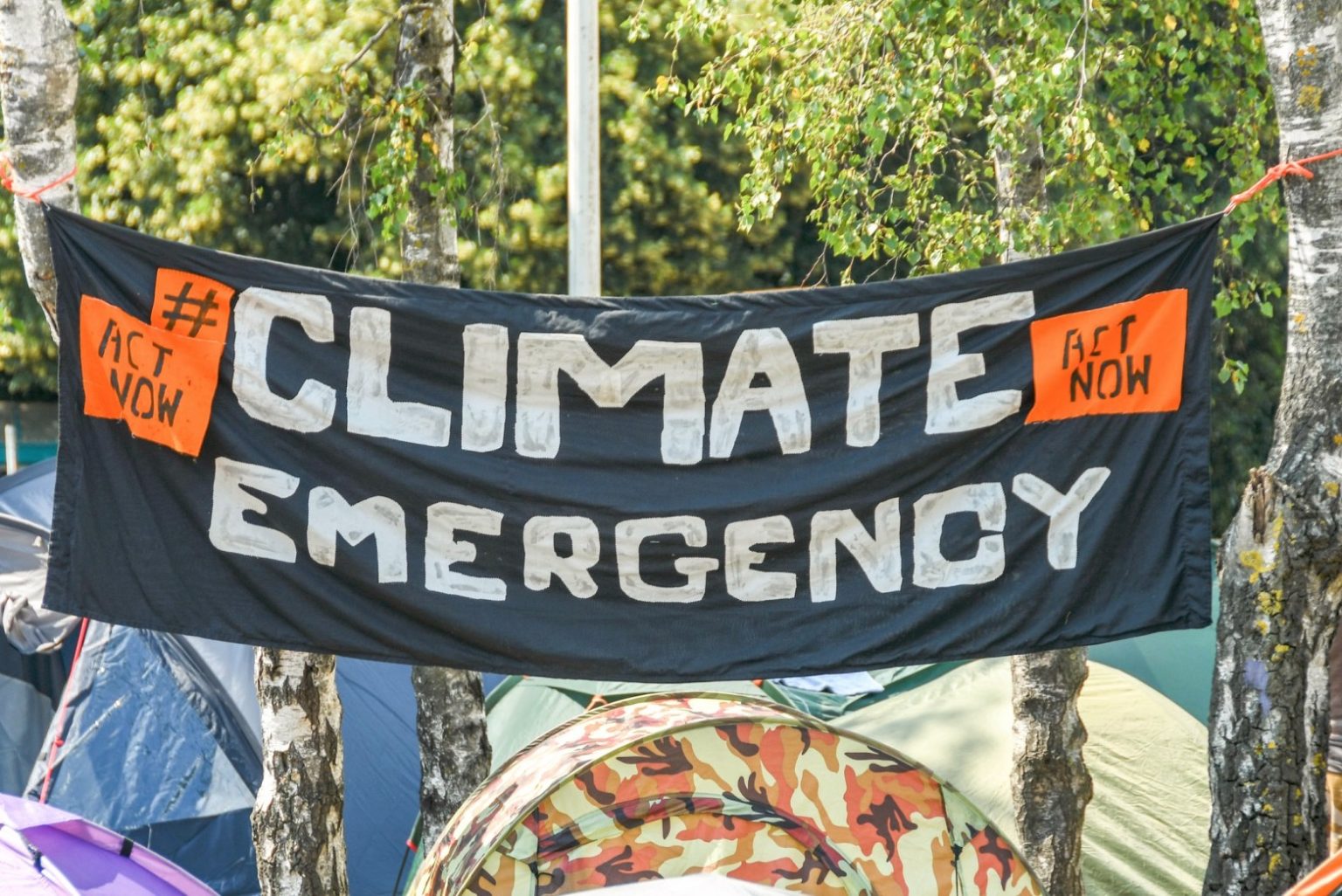 climate emergency protest