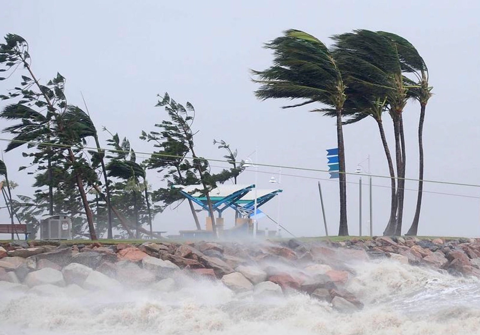 Cyclone Real Examples Climate Experts: Data And Figures The Media Won't Tell You About Global ...