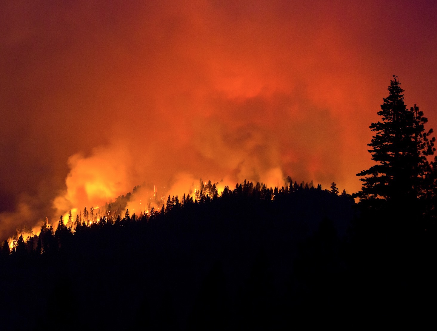 Activist Media Blamed Yosemite Fire On Climate Change. It Was Arson - Vimarsana News