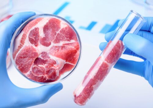 lab meat