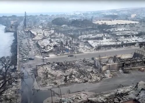 maui fire aftermath