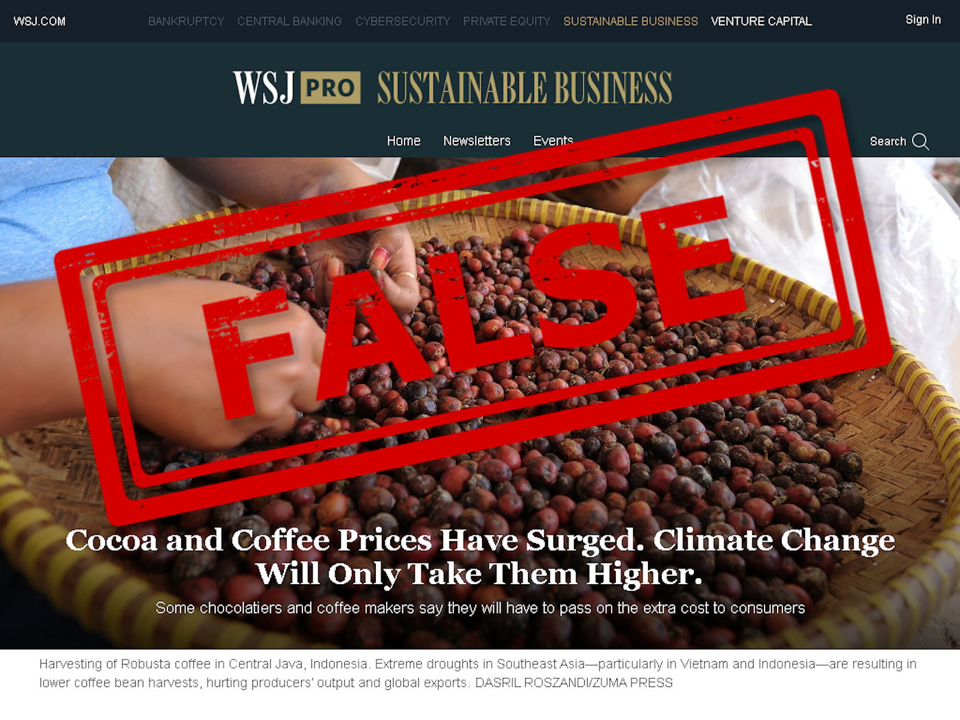 Here's Why Climate Change Isn't Threatening Coffee And Cocoa Crops - Vimarsana News