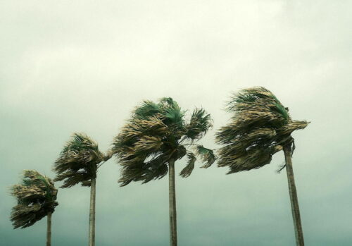 hurricane winds