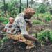 woman child farming