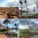 weather montage