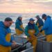 fishermen offshore wind