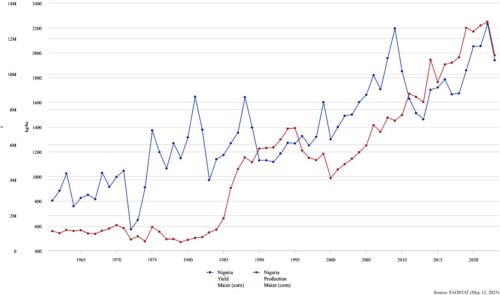 Nigerian corn growth
