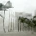 Hurricane Winds