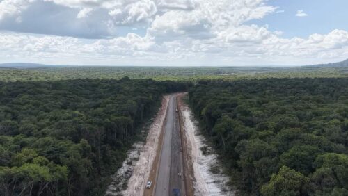 COP30 hypocrites chopped down 100,000 Amazon trees for a 'climate' road to nowhere