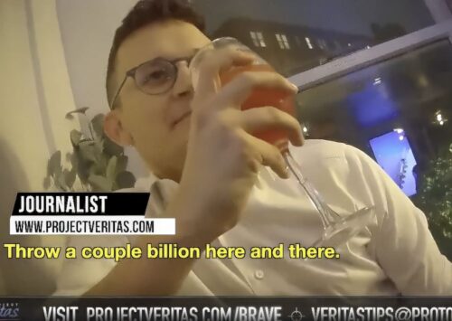 Project Veritas sting screencap