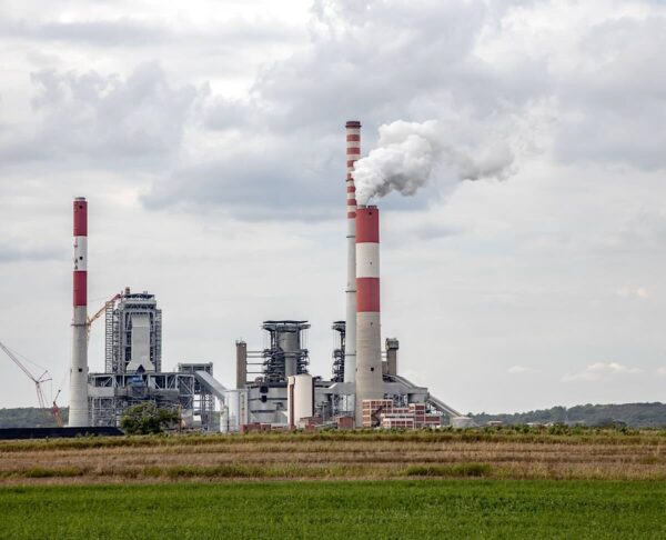 power plant crops